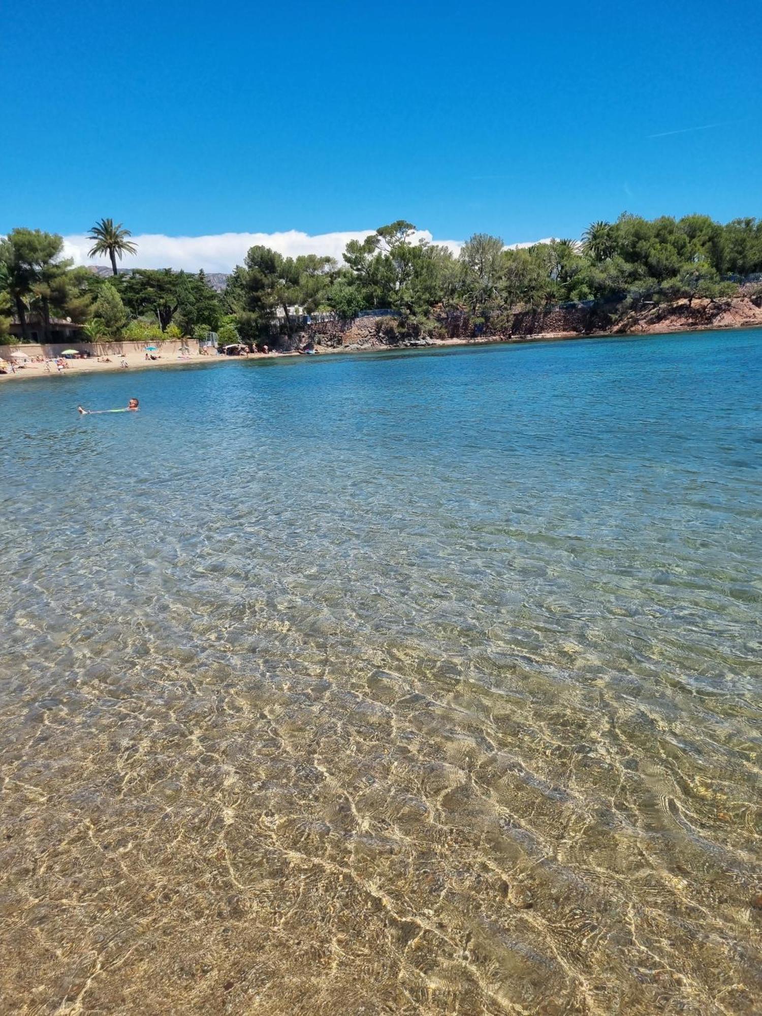 Studio 4P Vue Piscine St Raphael Valescure - Au Coeur Des Golfs Saint-Raphaël Dış mekan fotoğraf