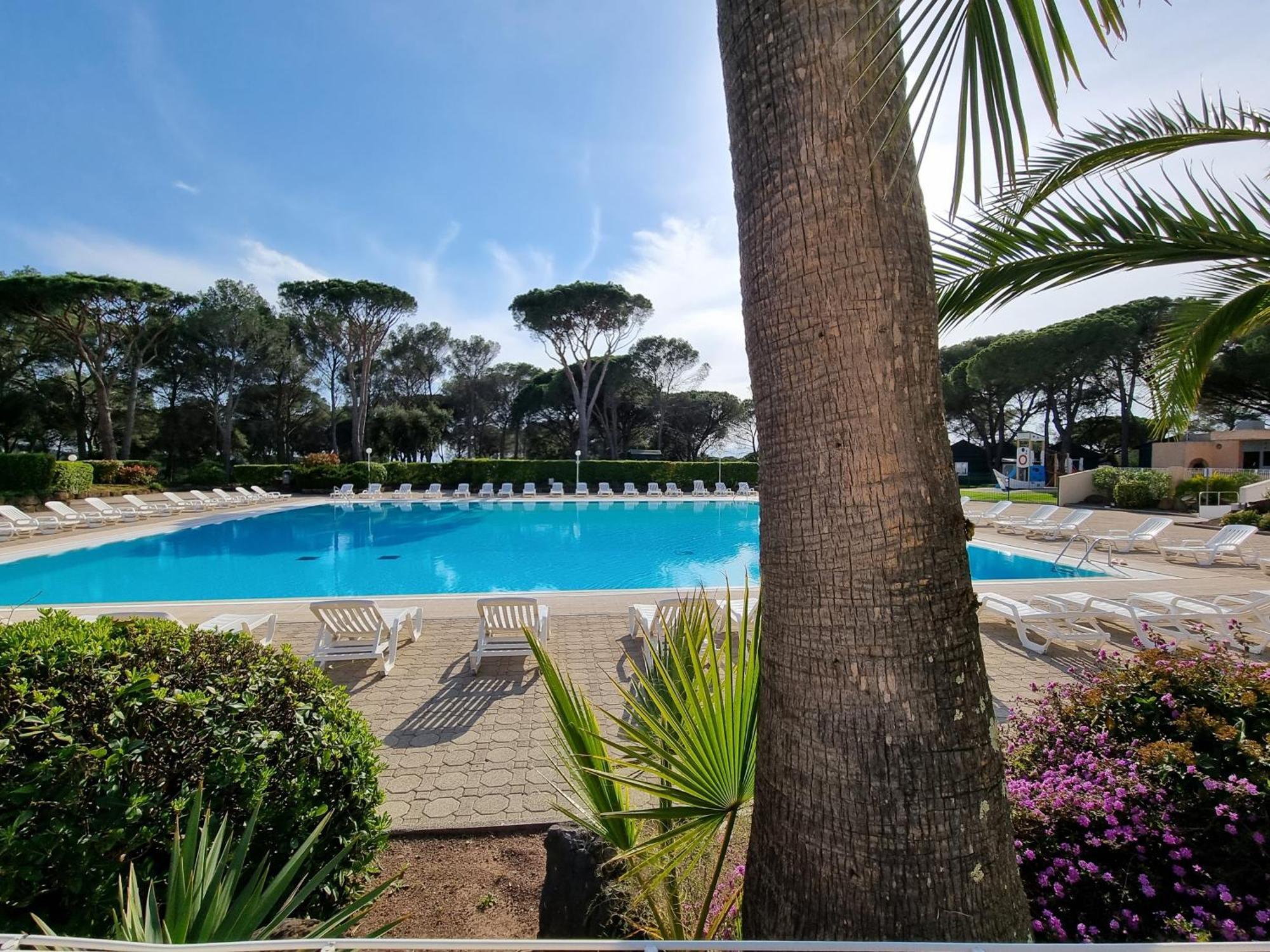 Studio 4P Vue Piscine St Raphael Valescure - Au Coeur Des Golfs Saint-Raphaël Dış mekan fotoğraf